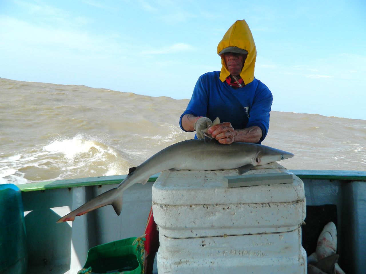 pescador pescando en altamar