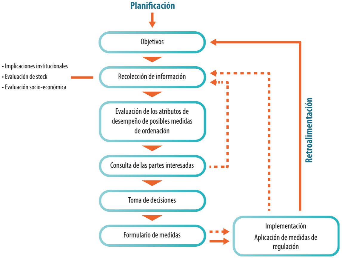 Mapa conceptual de los organismos de ordenación